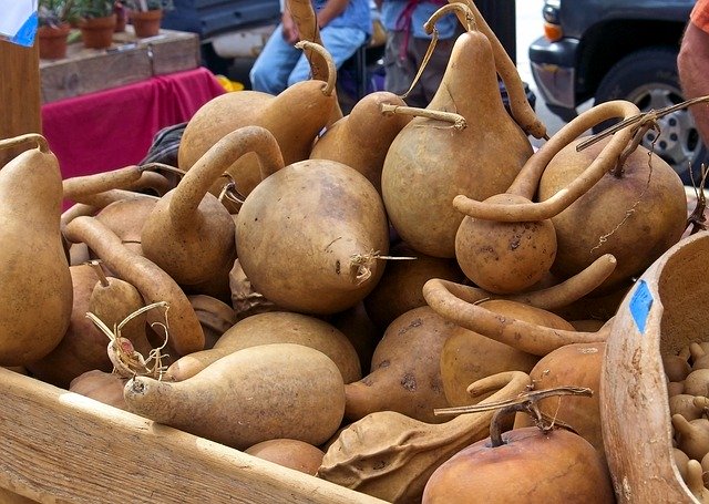 Free download Market Hard Gourds Harvest -  free photo or picture to be edited with GIMP online image editor