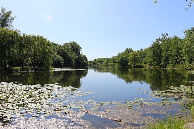 Marsh Lake Water'ı ücretsiz indirin - GIMP çevrimiçi resim düzenleyiciyle düzenlenecek ücretsiz fotoğraf veya resim