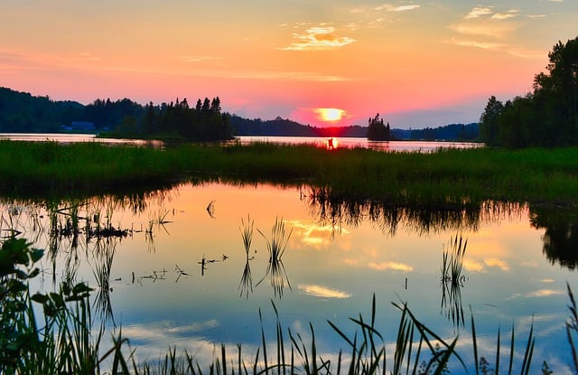 Free download marsh lake wetland sun water free picture to be edited with GIMP free online image editor