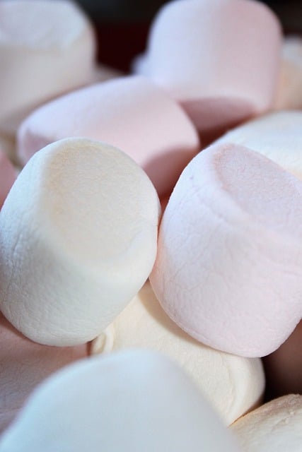 ດາວໂຫລດຮູບເຂົ້າຫນົມຫວານ marshmallow ຟຣີເພື່ອແກ້ໄຂດ້ວຍ GIMP ບັນນາທິການຮູບພາບອອນໄລນ໌ຟຣີ