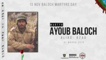 Free download Martyr Ayoub Baloch free photo or picture to be edited with GIMP online image editor