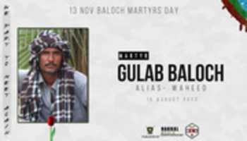 Free download Martyr Gulab Baloch free photo or picture to be edited with GIMP online image editor