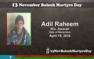 Free download Martyr Name: Adil Raheem free photo or picture to be edited with GIMP online image editor