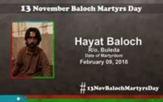 Free download Martyr Name: Hayat Baloch free photo or picture to be edited with GIMP online image editor