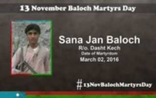Free download Martyr Name: Sana Jan Baloch free photo or picture to be edited with GIMP online image editor
