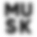 MaskMusk  screen for extension Chrome web store in OffiDocs Chromium
