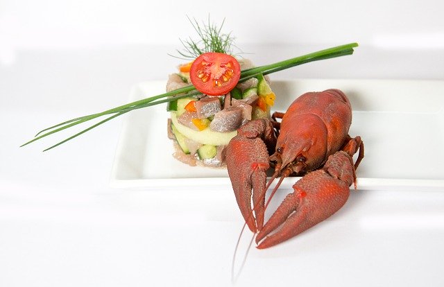 Descărcare gratuită Maties Crayfish Eat - fotografie sau imagini gratuite pentru a fi editate cu editorul de imagini online GIMP