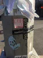 Free download Mat Miga free photo or picture to be edited with GIMP online image editor