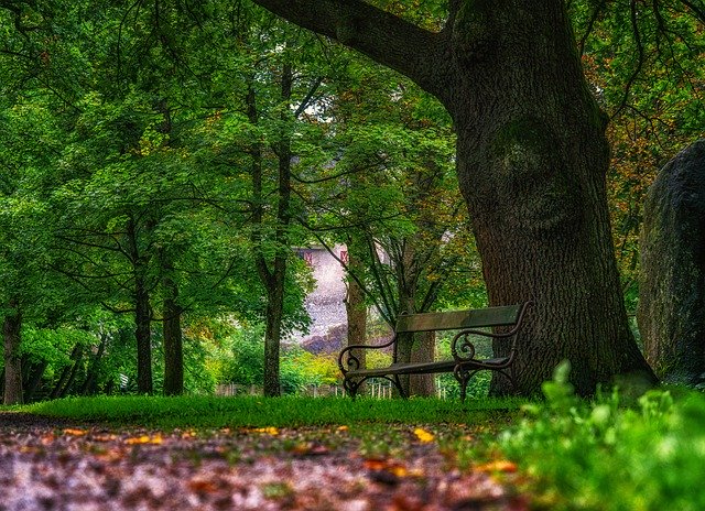 تنزيل Matze Park Tyrol Autumn مجانًا - صورة مجانية أو صورة ليتم تحريرها باستخدام محرر الصور عبر الإنترنت GIMP