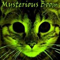 Free download MB Cat Cover free photo or picture to be edited with GIMP online image editor