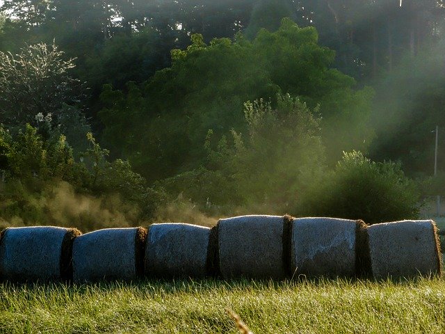 Unduh gratis Meadow Hay Bales Rolled - foto atau gambar gratis untuk diedit dengan editor gambar online GIMP