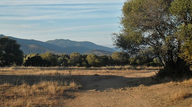 Free download Meadow Mountain Trees -  free photo or picture to be edited with GIMP online image editor