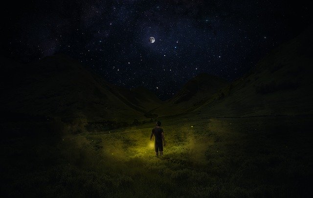 Free download Meadow Night Moon -  free photo or picture to be edited with GIMP online image editor