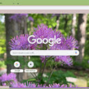 Meadow Rue  screen for extension Chrome web store in OffiDocs Chromium