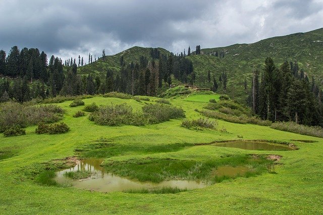 Free download Meadows Green Pakistan Travel -  free photo or picture to be edited with GIMP online image editor