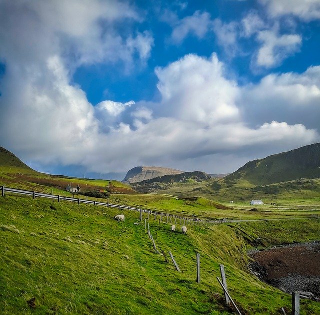 Безкоштовно завантажити Meadow Sheep Road - безкоштовне фото або зображення для редагування за допомогою онлайн-редактора зображень GIMP