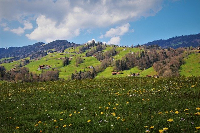 Kostenloser Download von Wiesen, Bergen, Alpendorf, kostenloses Bild, das mit dem kostenlosen Online-Bildeditor GIMP bearbeitet werden kann
