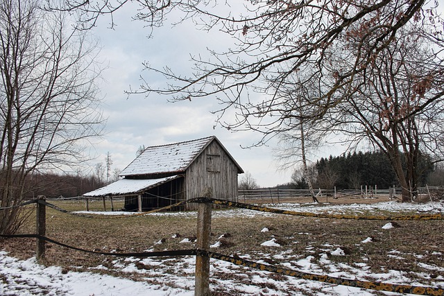 Free download meadow snow molehills dandruff free picture to be edited with GIMP free online image editor
