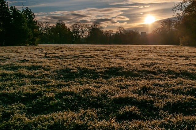 Scarica gratuitamente l'immagine gratuita del paesaggio dell'erba dell'alba del prato da modificare con l'editor di immagini online gratuito di GIMP