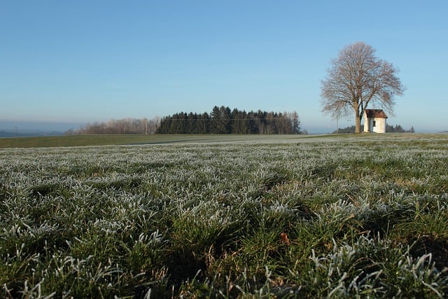 Free download meadow trees field chapel ripe free picture to be edited with GIMP free online image editor