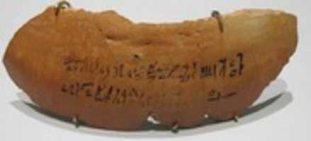 Free download Meat Jar Label Type 158.14 free photo or picture to be edited with GIMP online image editor