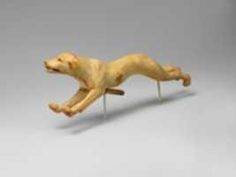 Free download Mechanical Dog free photo or picture to be edited with GIMP online image editor