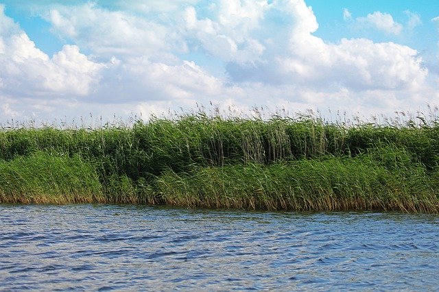 Скачать бесплатно Mecklenburg Vorpommern Gristow - бесплатное фото или изображение для редактирования с помощью онлайн-редактора изображений GIMP