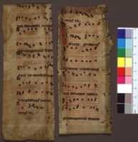 Free download Med 1 13 Ce free photo or picture to be edited with GIMP online image editor