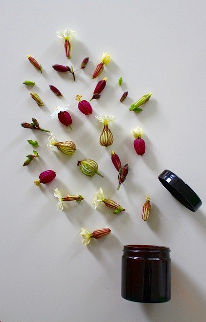 Free download Medicinal Flower Cure Ointment -  free photo or picture to be edited with GIMP online image editor