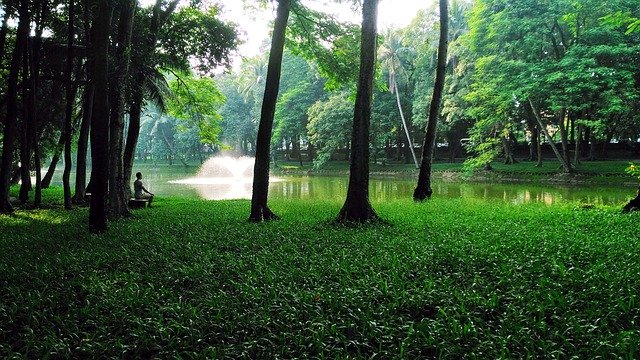 ດາວໂຫລດຟຣີ Meditation Nostalgia Peaceful - ຮູບພາບຫຼືຮູບພາບທີ່ບໍ່ເສຍຄ່າເພື່ອແກ້ໄຂດ້ວຍບັນນາທິການຮູບພາບອອນໄລນ໌ GIMP