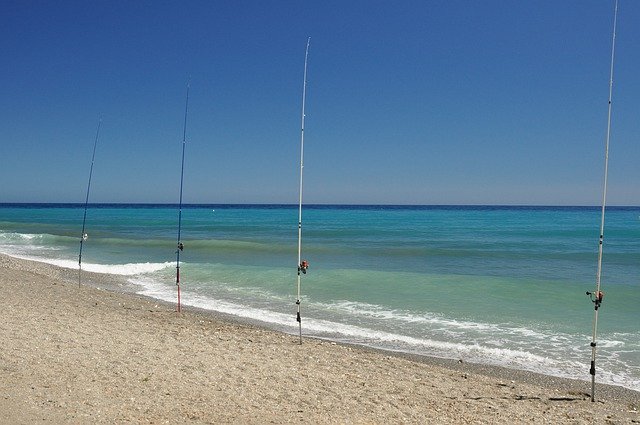 تحميل مجاني لـ Mediterranean Fish Sea - صورة مجانية أو صورة لتحريرها باستخدام محرر الصور عبر الإنترنت GIMP