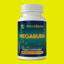 Megaburn Megaburn Official Website  screen for extension Chrome web store in OffiDocs Chromium