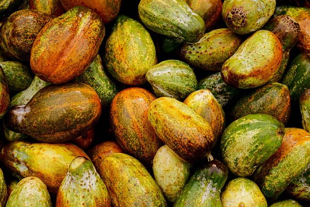 Free download melon fruit food produce free picture to be edited with GIMP free online image editor