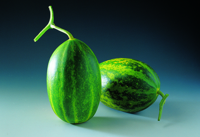 Безкоштовно завантажте Melon Green – безкоштовну безкоштовну фотографію чи зображення для редагування за допомогою онлайн-редактора зображень GIMP