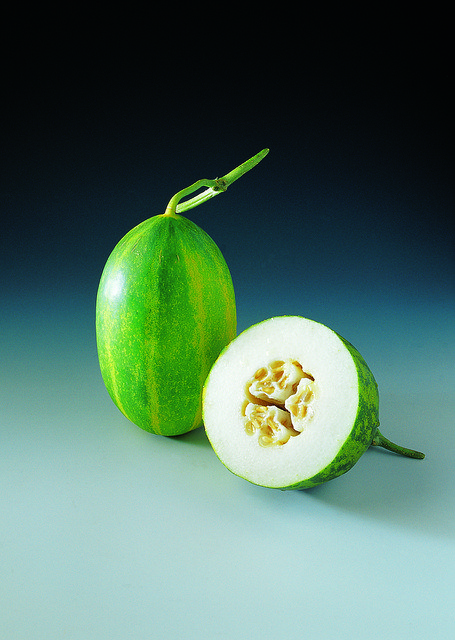 Template Photo Melon Green Cut -  for OffiDocs