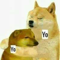 Free download Memes de perritos free photo or picture to be edited with GIMP online image editor