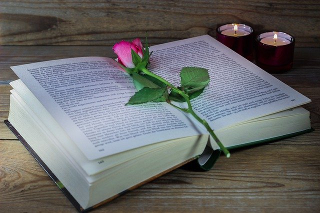 ດາວ​ໂຫຼດ​ຟຣີ Memory Book Rose - ຟຣີ​ຮູບ​ພາບ​ຫຼື​ຮູບ​ພາບ​ທີ່​ຈະ​ໄດ້​ຮັບ​ການ​ແກ້​ໄຂ​ກັບ GIMP ອອນ​ໄລ​ນ​໌​ບັນ​ນາ​ທິ​ການ​ຮູບ​ພາບ​