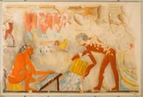 Free download Men Preparing Fish, Tomb Puyemre free photo or picture to be edited with GIMP online image editor