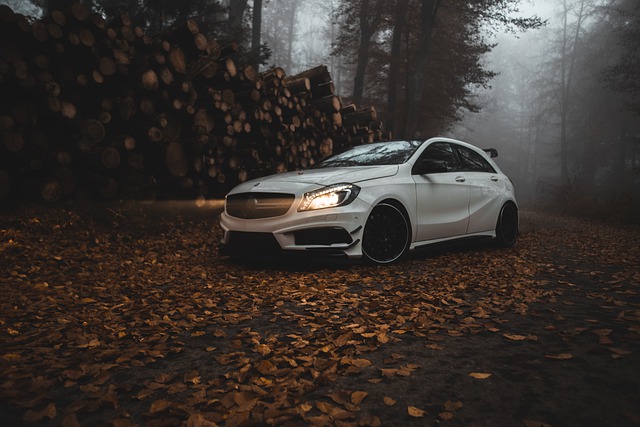 Free download mercedes amg a45 car drive autumn free picture to be edited with GIMP free online image editor