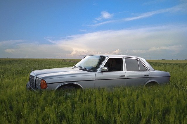 Free download mercedes benz w123 meadow grassland free picture to be edited with GIMP free online image editor