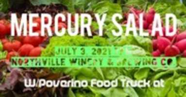 Free download Mercury Salad : Northville Winery : 7-3-21 free photo or picture to be edited with GIMP online image editor