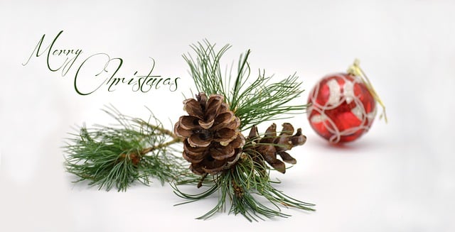 Free download merry christmas tap christmas free picture to be edited with GIMP free online image editor