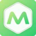 Metafields Guru  screen for extension Chrome web store in OffiDocs Chromium