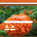 Mexican Marigold  screen for extension Chrome web store in OffiDocs Chromium
