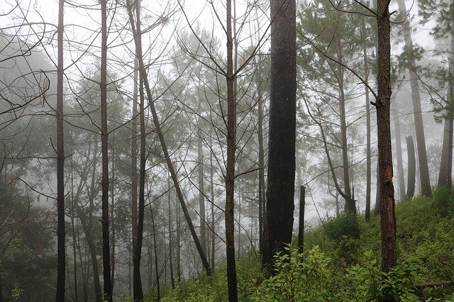 免费下载墨西哥 San Sebastian Del Oeste - 可使用 GIMP 在线图像编辑器编辑的免费照片或图片