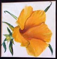 Free download MG 7784 Copy free photo or picture to be edited with GIMP online image editor