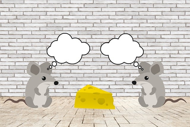 Free download mice rodents mammals small animals free picture to be edited with GIMP free online image editor