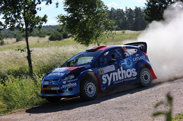 Free download michael solowow 71 rally poland 2014 free picture to be edited with GIMP free online image editor