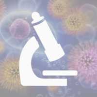 Free download microbiology3 free photo or picture to be edited with GIMP online image editor