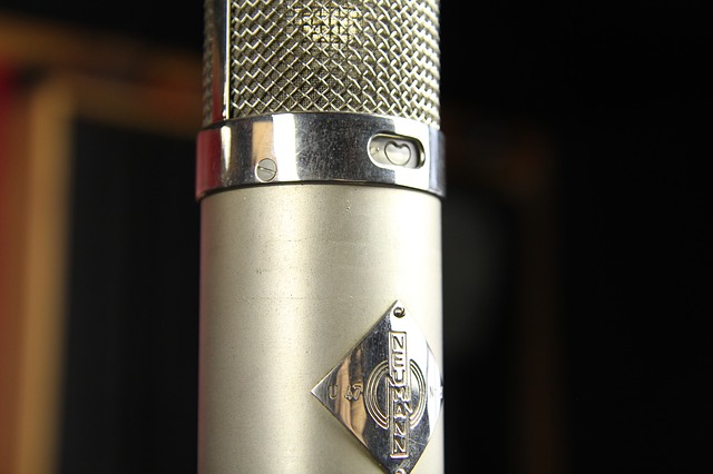 Free download microphone blue kiwi studio free picture to be edited with GIMP free online image editor